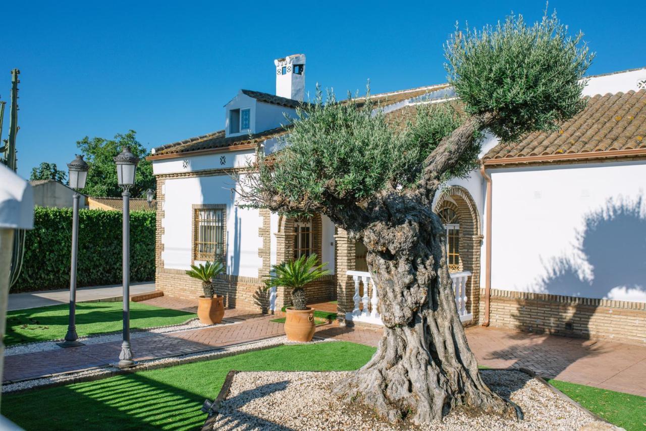 Casa rural El Olivo de Córdoba Exterior foto